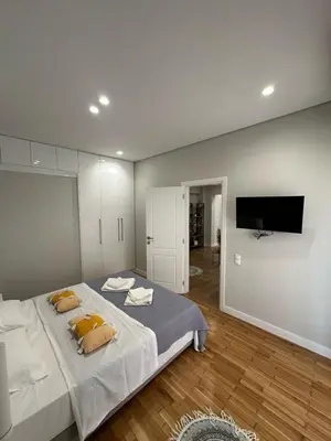 a bedroom with a large bed and a flat screen tv at Mihaela-Andreea Luxury House in Athens
