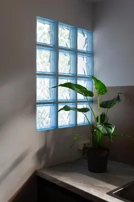 a plant sitting on a counter in front of a window at Seaside Apartment by Flisvos Marina in Athens