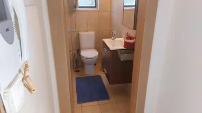 a small bathroom with a toilet and a sink at Luxury apartment SEA HELM with private swimming pool and BBQ in Lagonissi